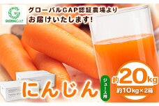 熊本県 御船町 にんじん ジュース用 約20kg 有限会社ニシムラ《30日以内に出荷予定(土日祝除く)》人参 ニンジン