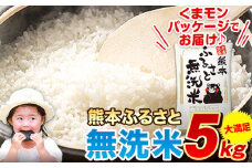 無洗米 訳あり 家庭用 熊本ふるさと 無洗 米 5kg 無洗米 米 コメ 熊本県産《7-14日以内に出荷予定(土日祝除く)》 洗わず おうちご飯 お米 おこめ 送料無料 熊本 御船 ライス SDGs ふるさと無洗米