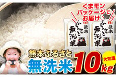 無洗米 訳あり 家庭用 熊本ふるさと 無洗 米 10kg 無洗米 米 コメ 熊本県産《7-14日以内に出荷予定(土日祝除く)》 洗わず  おうちご飯 お米 おこめ 送料無料 熊本 御船 ライス SDGs ふるさと無洗米