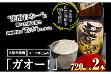 本格米焼酎 「ガオー！」 オークの香りただよう御船の新しい本格米焼酎 720ml×2本 御船町 河内愛農園プロデュース 那須酒造場《30日以内に出荷予定(土日祝除く)》 st-p