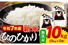 新米 令和7年産 ひのひかり 無洗米 10kg 《10月中旬-12月末頃出荷》  5kg×2袋 熊本県産 米 精米 ひの 御船町