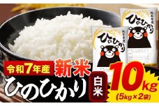 新米 令和7年産 ひのひかり 白米 10kg 《9月下旬-11月上旬頃出荷》 5kg×2袋 熊本県産 米 精米 ひの 御船町