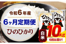 【6ヶ月定期便】令和6年産 白米 ひのひかり 定期便 10kg《お申込み月の翌月から出荷開始》令和6年産 熊本県産 ふるさと納税 精米 ひの 米 こめ ふるさとのうぜい ヒノヒカリ コメ お米