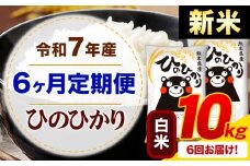 【6ヶ月定期便】新米 令和7年産 白米 ひのひかり 定期便 10kg《お申込み月の翌月から出荷開始》熊本県産 ふるさと納税 精米 ひの 米 こめ ふるさとのうぜい ヒノヒカリ コメ お米