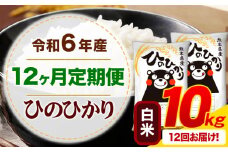 【12ヶ月定期便】令和6年産 白米 ひのひかり 定期便 10kg《お申込み月の翌月から出荷開始》令和6年産 熊本県産 ふるさと納税 精米 ひの 米 こめ ふるさとのうぜい ヒノヒカリ コメ お米