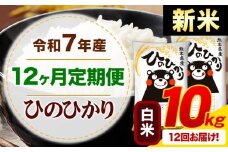 【12ヶ月定期便】新米 令和7年産 白米 ひのひかり 定期便 10kg《お申込み月の翌月から出荷開始》熊本県産 ふるさと納税 精米 ひの 米 こめ ふるさとのうぜい ヒノヒカリ コメ お米