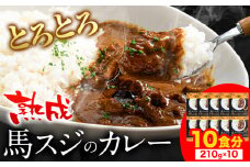 たっぷり！馬スジカレー 10食セット 千興ファーム《60日以内に出荷予定(土日祝除く)》馬スジ カレー お肉 馬すじ カレーライス 馬肉 贈答 ギフト グルメ お取り寄せ 熊本県 御船町 送料無料 個包装 大人気 簡単調理
