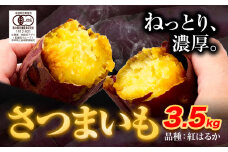 さつまいも 紅はるか 3.5kg 創成アグリ《12月中旬-2月末頃出荷》熊本県 御船町 野菜 芋 さつま いも 焼き芋 有機JAS規格 送料無料 st-p