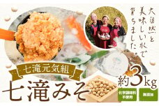 みそ 味噌 七滝みそ 約3kg 七滝元気組 《30日以内に発送予定(土日祝除く)》熊本県 御船町 無添加 化学調味料不使用 調味料 味噌汁 みそ汁