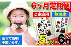 【6ヶ月定期便】無洗米 定期便《お申込み月の翌月から出荷開始》 熊本ふるさと無洗米 5kg 訳あり 米 コメ こめ 熊本県産 米 ふるさと納税 わけあり 以上のお米ならこれ お米 おこめ 熊本 SDGs むせんまい kome musennmai