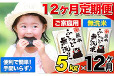 【12ヶ月定期便】無洗米 定期便《お申込み月の翌月から出荷開始》 熊本ふるさと無洗米 5kg 訳あり 米 コメ こめ 熊本県産 米 ふるさと納税 わけあり 以上のお米ならこれ お米 おこめ 熊本 SDGs むせんまい kome musennmai