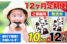 【12ヶ月定期便】無洗米 定期便《お申込み月の翌月から出荷開始》 熊本ふるさと無洗米 10kg 訳あり 米 コメ こめ 熊本県産 米 ふるさと納税 わけあり 以上のお米ならこれ お米 おこめ 熊本 SDGs むせんまい kome musennmai