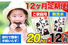 【12ヶ月定期便】無洗米 定期便《お申込み月の翌月から出荷開始》 熊本ふるさと無洗米 20kg 訳あり 米 コメ こめ 熊本県産 米 ふるさと納税 わけあり 以上のお米ならこれ お米 おこめ 熊本 SDGs むせんまい kome musennmai