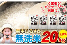 無洗米 訳あり 家庭用 熊本ふるさと 無洗 米 20kg 無洗米 米 コメ 熊本県産《7-14日以内に出荷予定(土日祝除く)》 洗わず コロナ おうちご飯 お米 おこめ 送料無料 熊本 御船 ライス SDGs ふるさと無洗米