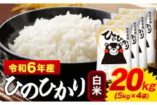 白米 ひのひかり 20kg 令和6年産  熊本県産 ふるさと納税  白米 精米 ひの 米 こめ ふるさとのうぜい ヒノヒカリ コメ お米 おこめ 《7-14日以内に出荷予定(土日祝除く)》