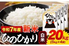 新米 白米 ひのひかり 20kg 令和7年産  熊本県産 ふるさと納税  白米 精米 ひの 米 こめ ふるさとのうぜい ヒノヒカリ コメ お米 おこめ 《9月下旬-11月上旬頃出荷》