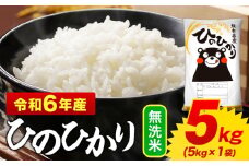 無洗米 ひのひかり 5kg 令和6年産  熊本県産 ふるさと納税 無洗米  精米 ひの 米 こめ ふるさとのうぜい ヒノヒカリ コメ お米 おこめ 《7-14日以内に出荷予定(土日祝除く)》