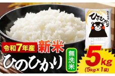 新米 無洗米 ひのひかり 5kg 令和7年産  熊本県産 ふるさと納税 無洗米  精米 ひの 米 こめ ふるさとのうぜい ヒノヒカリ コメ お米 おこめ 《9月下旬-11月上旬頃出荷》