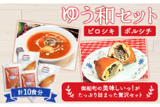 ゆう和 ピロシキ ボルシチ セット 計10食分 ボルシチ4食 ピロシキ6食 ギャラリーレストランゆう和 《30日以内に出荷予定(土日祝除く)》 ピロシキ トマトボルシチ 冷凍 熊本県 御船町 有限会社ながもと