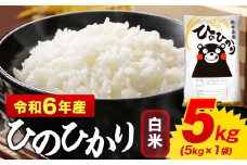 白米 ひのひかり 5kg 令和6年産  熊本県産 ふるさと納税  白米 精米 ひの 米 こめ ふるさとのうぜい ヒノヒカリ コメ お米 おこめ  《7-14日以内に出荷予定(土日祝除く)》
