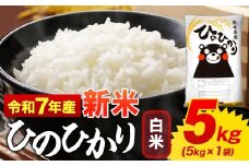 新米 白米 ひのひかり 5kg 令和7年産  熊本県産 ふるさと納税  白米 精米 ひの 米 こめ ふるさとのうぜい ヒノヒカリ コメ お米 おこめ  《9月下旬-11月上旬頃出荷》