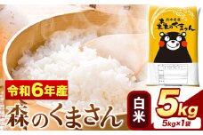令和6年産 森のくまさん 5kg × 1袋  白米 熊本県産 単一原料米 森くま《7-14日以内に出荷予定(土日祝除く)》送料無料