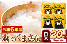 令和6年産  白米  森のくまさん 20kg 5kg × 4袋  熊本県産 単一原料米 森くま《7-14日以内に出荷予定(土日祝除く)》送料無料
