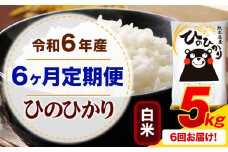 【6ヶ月定期便】令和6年産 白米 ひのひかり 定期便 5kg《お申込み月の翌月から出荷開始》令和6年産 熊本県産 ふるさと納税 精米 ひの 米 こめ ふるさとのうぜい ヒノヒカリ コメ お米