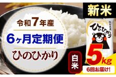 【6ヶ月定期便】新米 令和7年産 白米 ひのひかり 定期便 5kg《お申込み月の翌月から出荷開始》熊本県産 ふるさと納税 精米 ひの 米 こめ ふるさとのうぜい ヒノヒカリ コメ お米