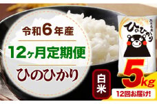 【12ヶ月定期便】令和6年産 白米 ひのひかり 定期便 5kg《お申込み月の翌月から出荷開始》令和6年産 熊本県産 ふるさと納税 精米 ひの 米 こめ ふるさとのうぜい ヒノヒカリ コメ お米