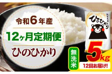 【12ヶ月定期便】令和6年産 無洗米 ひのひかり 定期便 5kg《お申込み月の翌月から出荷開始》令和6年産 熊本県産 ふるさと納税 精米 ひの 米 こめ ふるさとのうぜい ヒノヒカリ コメ お米
