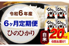 【6ヶ月定期便】令和6年産 白米 ひのひかり 定期便 20kg《お申込み月の翌月から出荷開始》令和6年産 熊本県産 ふるさと納税 精米 ひの 米 こめ ふるさとのうぜい ヒノヒカリ コメ お米