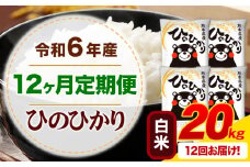 【12ヶ月定期便】令和6年産 白米 ひのひかり 定期便 20kg《お申込み月の翌月から出荷開始》令和6年産 熊本県産 ふるさと納税 精米 ひの 米 こめ ふるさとのうぜい ヒノヒカリ コメ お米