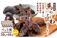 ドッグフード ジャーキー 無添加 馬のふわ ジャーキー 30g ×10袋 ペット用 Evol Key 熊本県 御船町《30日以内に出荷予定(土日祝除く)》送料無料