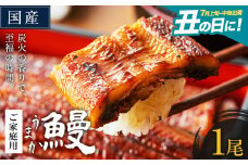 うなぎ ご家庭用 1尾 国産 ランキング 獲得 鰻 真空パック おすすめ うなぎの蒲焼 《丑の日に！7月上旬〜7月中旬出荷》 有頭 ふるさとのうぜい 鶏炭火焼 訳あり 簡易包装 不揃い ウナギ unagi 蒲焼 秋 冬 旬 配送時期 冷凍