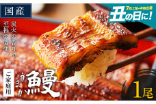 うなぎ ご家庭用 1尾 国産 ランキング 獲得 鰻 真空パック おすすめ うなぎの蒲焼 《丑の日に！7月上旬〜7月中旬出荷》 有頭 ふるさとのうぜい 鶏炭火焼 訳あり 簡易包装 不揃い ウナギ unagi 蒲焼 秋 冬 旬 配送時期 冷凍