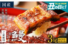 うなぎ ご家庭用 3尾 (刻みうなぎ2袋＆鶏の炭火焼1袋付き) 国産 ランキング 獲得 鰻 真空パック おすすめ うなぎの蒲焼 《丑の日に！7月上旬〜7月中旬出荷》 有頭 ふるさとのうぜい 鶏炭火焼 訳あり 簡易包装 不揃い ウナギ unagi 蒲焼 秋 冬 旬 配送時期 冷凍