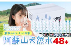 水 熊本 の おいしい お水 阿蘇山 天然水 500ml × 48本 2ケース  丸富産業《30日以内に出荷予定(土日祝除く)》熊本県 御船町 水 天然水 みず 熊本 飲料 熊本県 ミネラルウォーター