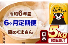 【6ヶ月定期便】令和6年産 白米  森のくまさん 5kg 5kg×1袋  《お申込み月の翌月から出荷開始》 熊本県産 白米 精米 米 こめ コメ お米 kome