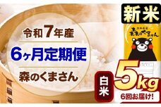 【6ヶ月定期便】新米 令和7年産 白米  森のくまさん 5kg 5kg×1袋  《お申込み月の翌月から出荷開始》 熊本県産 白米 精米 米 こめ コメ お米 kome