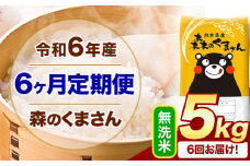【6ヶ月定期便】令和6年産 無洗米  森のくまさん 5kg 5kg×1袋  《お申込み月の翌月から出荷開始》 熊本県産 無洗米 精米 米 こめ コメ お米 kome