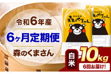 【6ヶ月定期便】令和6年産 白米  森のくまさん 10kg 5kg×2袋  《お申込み月の翌月から出荷開始》 熊本県産 白米 精米 米 こめ コメ お米 kome
