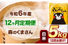 【12ヶ月定期便】令和6年産 白米  森のくまさん 5kg 5kg×1袋  《お申込み月の翌月から出荷開始》 熊本県産 白米 精米 米 こめ コメ お米 kome