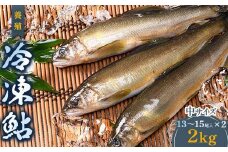 FKK19-827 養殖冷凍鮎 (中:13～15尾入×2) 2kg