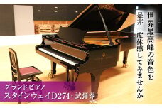 FKK19-00A スタインウェイD274 試弾券