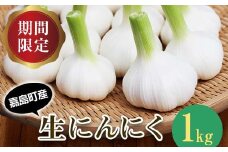 FK7-0179 【先行予約】 生にんにく 1kg