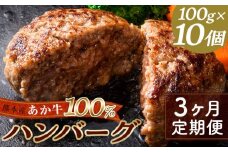 FKK19-225 【3ヵ月定期便】あか牛100％ハンバーグ（100g×10個）