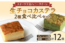 FKK19-464 生チョコカステラ2種食べ比べ 12個セット