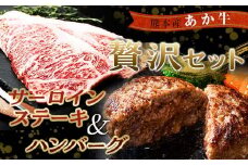 FKK19-266 贅沢セット（あか牛サーロインステーキ440g・あか牛ハンバーグ100g×10個）