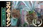 シルバーの胞子葉がとってもキレイな観葉植物です。